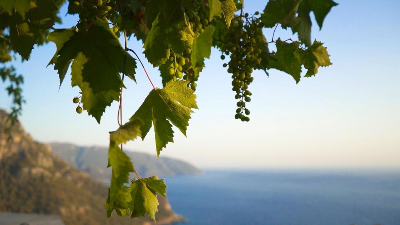 Kabak Mamma'S Pension Restaurant & Terrace Bar Fethiye Luaran gambar
